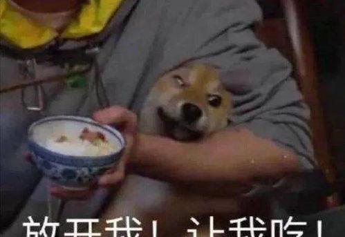 阿傻带你吃瓜,揭秘明星幕后故事