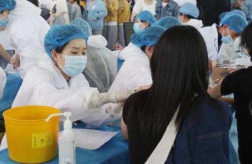 学生家长吃瓜,揭秘校园那些事儿