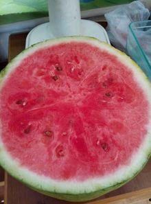 吃小白瓜进医院,警惕常见食物背后的健康隐患