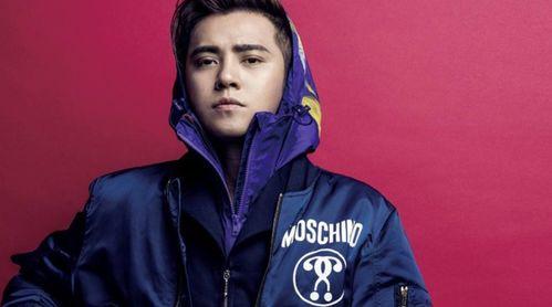 罗志祥吃瓜群众的瓜,揭秘娱乐圈的“瓜王”传奇