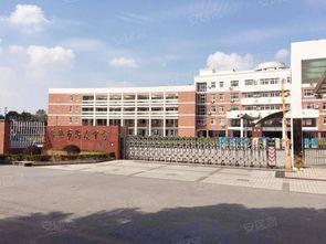 海虞高中吃瓜,揭秘校园里的“瓜田”风云