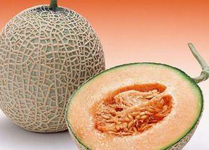 清宫后可不可以吃哈密瓜