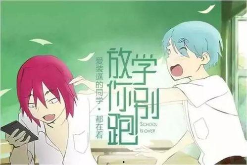 吃瓜故事视频,揭秘吃瓜故事背后的真相与笑料