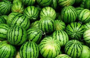 吃瓜群8,一场网络社交的狂欢盛宴