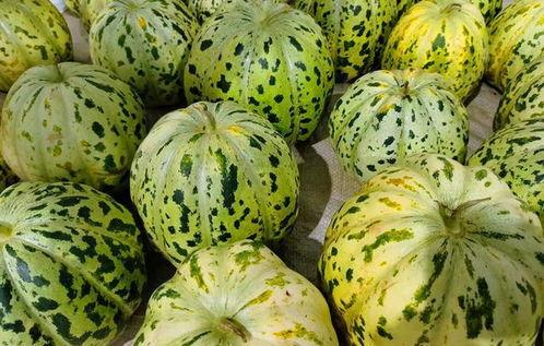 面瓜能留多久吃,揭秘延长食用期限的秘诀