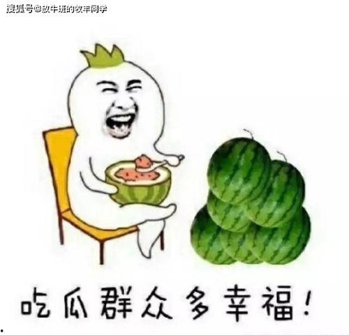 小路吃瓜不迷路,揭秘美食之旅中的趣味与智慧