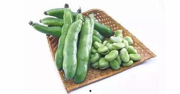 吃完蚕豆可以吃瓜,营养美味两不误