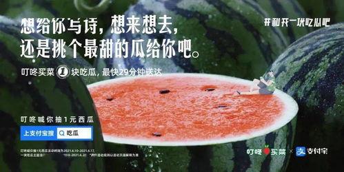 看电视吃瓜文案,揭秘娱乐圈幕后风云