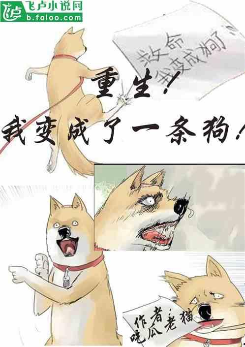 吃瓜升职小说,瓜田里的升职传奇