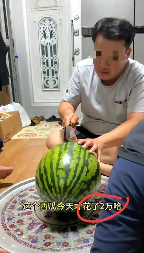 吃瓜和瓜主,吃瓜群众与瓜主之间的趣味互动