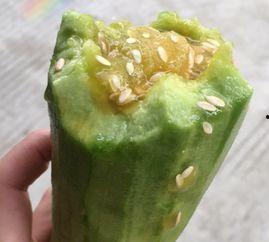 羊角蜜瓜能全吃吗,从皮到籽，尽享美味全食之旅