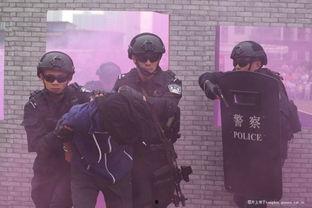 开放吃瓜群众视频,一场全民参与的娱乐盛宴