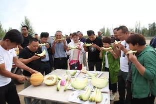 小孩吃老汉瓜,小孩吃老汉瓜，共享家族甜蜜记忆