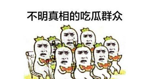 吃瓜群众南阳,吃瓜群众眼中的风云变幻