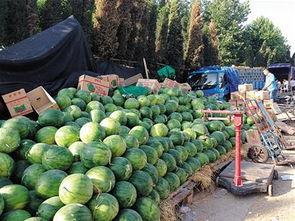 上海30万吃瓜,上海30万吃瓜群众的热议焦点揭秘