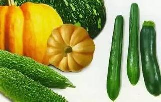 小寨瓜怎么吃,解锁夏日清新美味