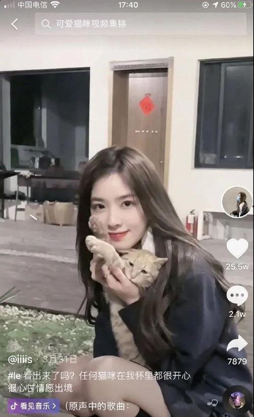 吃瓜网红mm,揭秘娱乐圈幕后故事