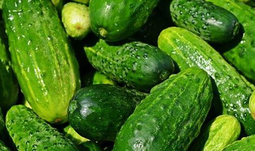 铜瓜菜怎么吃,探索家常美味新选择