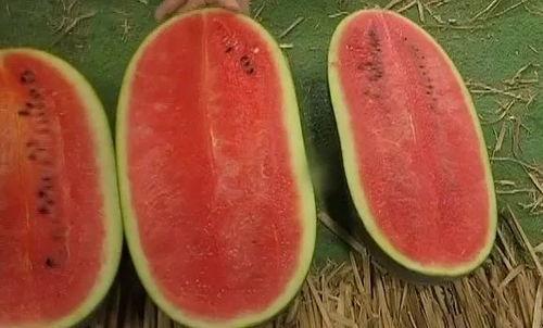 外国吃瓜搜什么,揭秘外国吃瓜群众的搜索热点