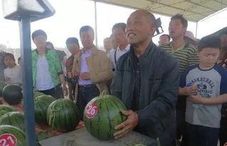 沅陵吃瓜群众事迹,见证时代变迁的民间观察者