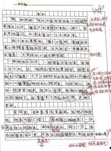 吃酉瓜的作文,一场味蕾与历史的邂逅