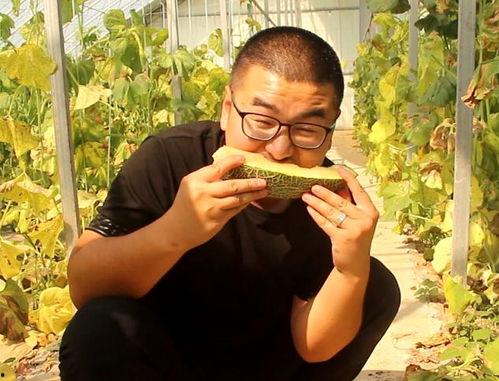 吃货大飞吃切瓜,切瓜技艺独步江湖