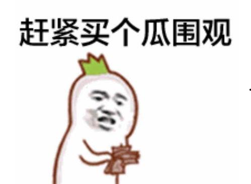 吃瓜群众表情表,笑点与泪点的完美融合