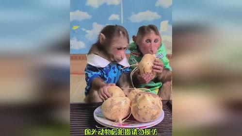 吃瓜的吃货大婶在线观看