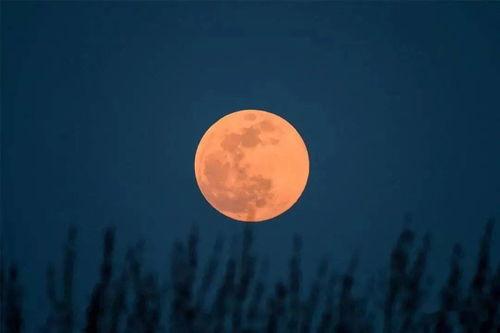 吃瓜节目月亮暗指,揭秘“吃瓜节目”中的月亮暗指之谜