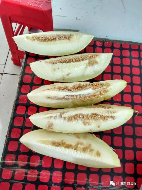 冬天带你吃瓜,冬日暖阳下的甜蜜瓜果之旅