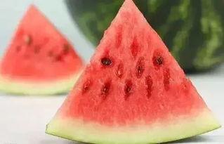 冬天带你吃瓜,冬日暖阳下的甜蜜瓜果之旅