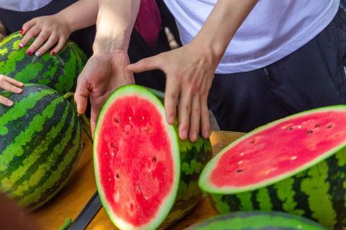 西区学校吃瓜,吃瓜群众揭秘校园风云