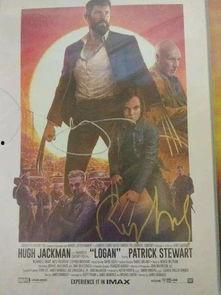 金刚狼吃瓜,一场与自然的和谐共舞