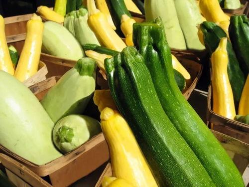 茨瓜多了怎么吃,解锁美味新境界