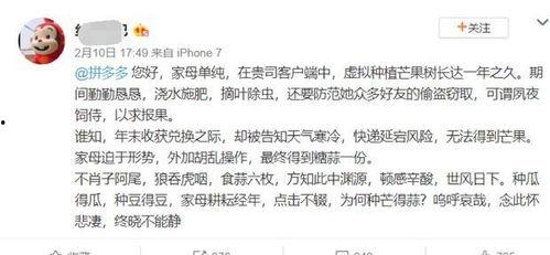 吃瓜群众的古文,揭秘古代“吃瓜群众”的趣味生活