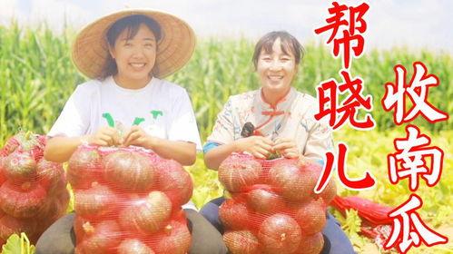 凑个热闹吃瓜,揭秘娱乐圈幕后故事