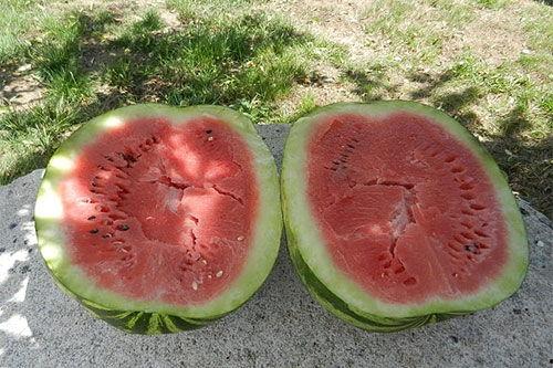 梦见吃瓜有点酸