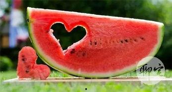 吃瓜的形状,探寻吃瓜的形状之美