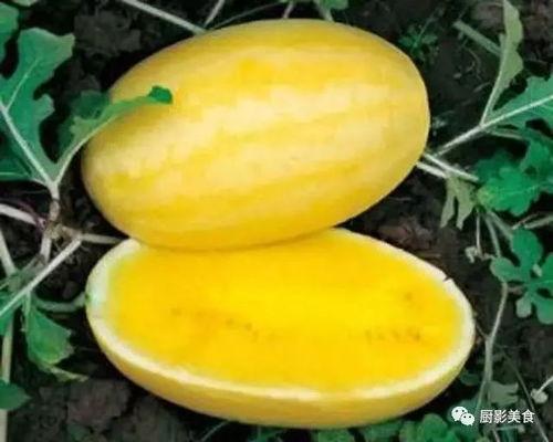 吃瓜的形状,探寻吃瓜的形状之美