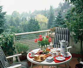 阳台吃瓜事件酒店,酒店意外成焦点，揭秘背后真相