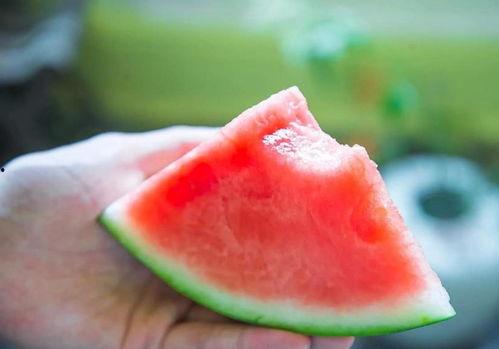 吃瓜背景乐,跟随吃瓜背景乐探寻夏日清凉时光