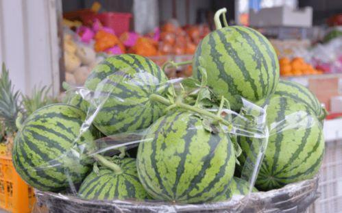 吃瓜背景乐,跟随吃瓜背景乐探寻夏日清凉时光