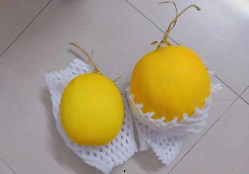 直播吃烂瓜,揭秘网络直播的另类娱乐现象