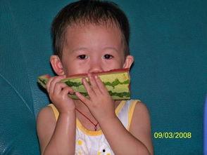 楠瓜吃西瓜,一场夏日味蕾的奇妙邂逅