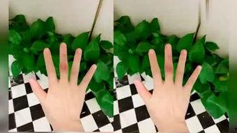 楠瓜吃西瓜,一场夏日味蕾的奇妙邂逅