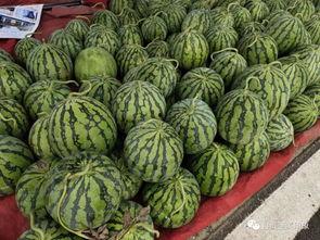 八歌吃瓜,揭秘娱乐圈那些不为人知的幕后故事