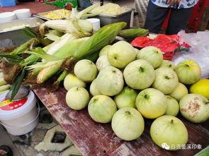 八歌吃瓜,揭秘娱乐圈那些不为人知的幕后故事