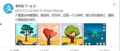 失恋吃瓜的文案,揭秘分手背后的甜蜜与苦涩