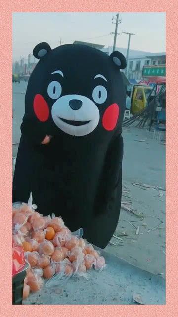 本熊吃瓜,揭秘娱乐圈那些不为人知的幕后故事