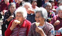 1月吃瓜节,1月吃瓜节狂欢盛况